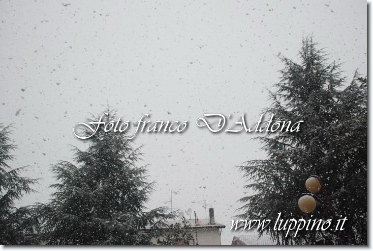 Sei già all'ultima foto